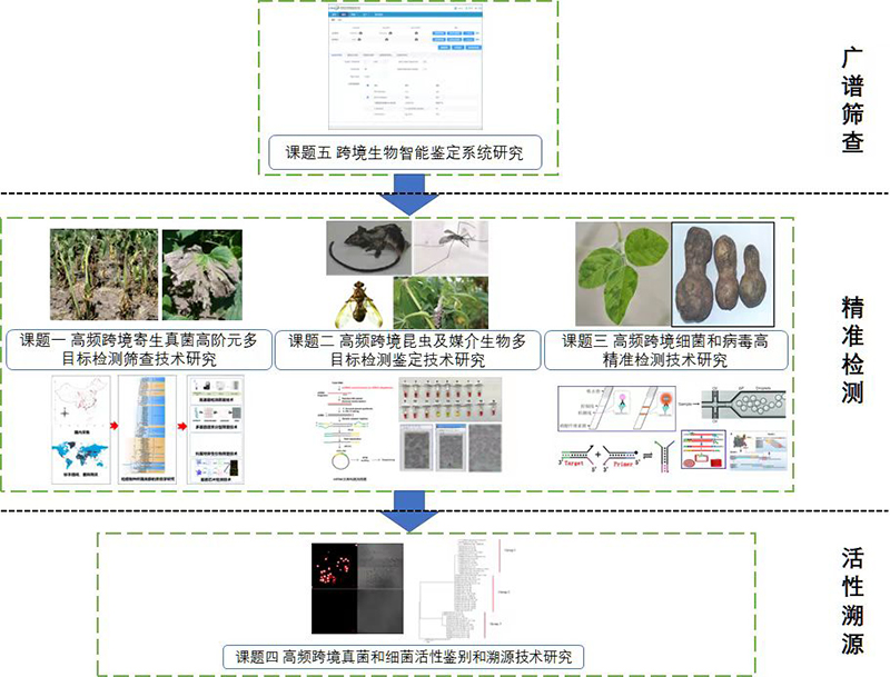 中国检科院完成 “高频跨境生物多目标高精准检测技术”的研究