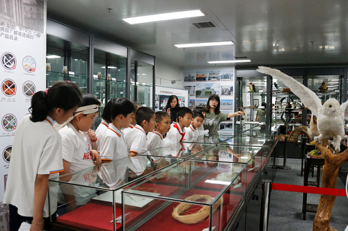 北京市海淀区民族小学师生参观检验检疫标本馆